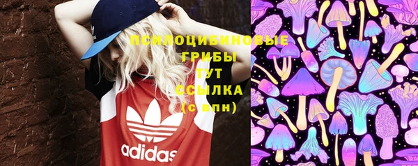 экстази Коряжма